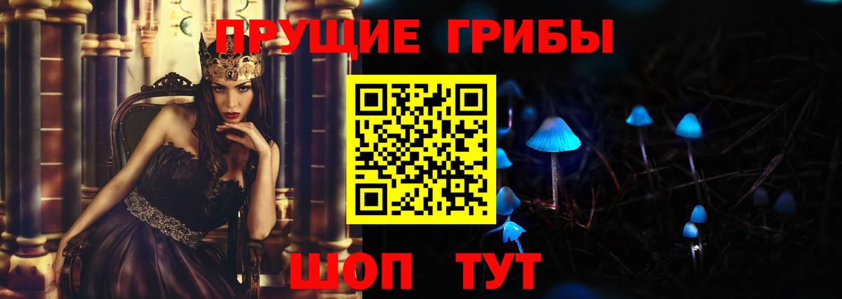Грозный  хочу   Вход с VPN  Псилоцибиновые грибы MAGIC MUSHROOMS 